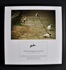 CADRE PHOTO - ASSOCIATION DE MALFAITEURS